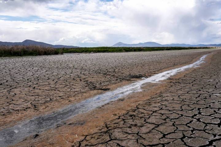 A small stream runs through the dried, cracked earth of a former wetland near Tulelake, Calif., ...