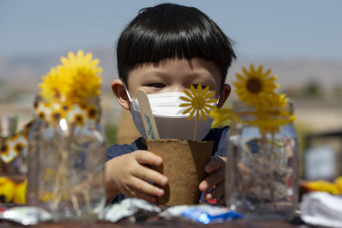 How to grow plants in Las Vegas desert