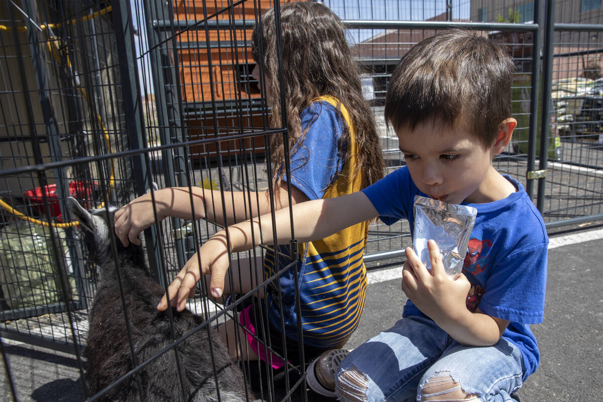 Broly Lemons, 4, and Lilly Lemons, 8, pet a goat during a gardening expo at Tractor Supply Comp ...