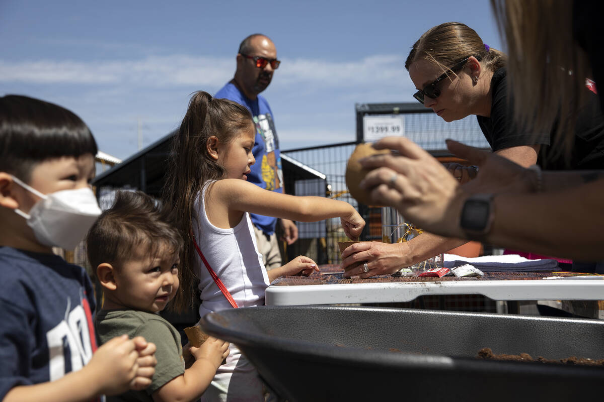 Mandy McLeod, sales associate at Tractor Supply Company, right, teaches Vincent Hernandez, 2, l ...