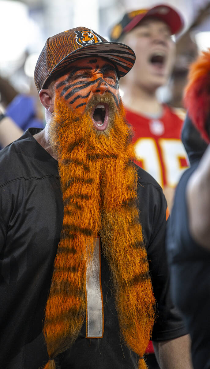 A Cincinnati Bengals fan yells for his team in the Draft Theatre during the third day selection ...