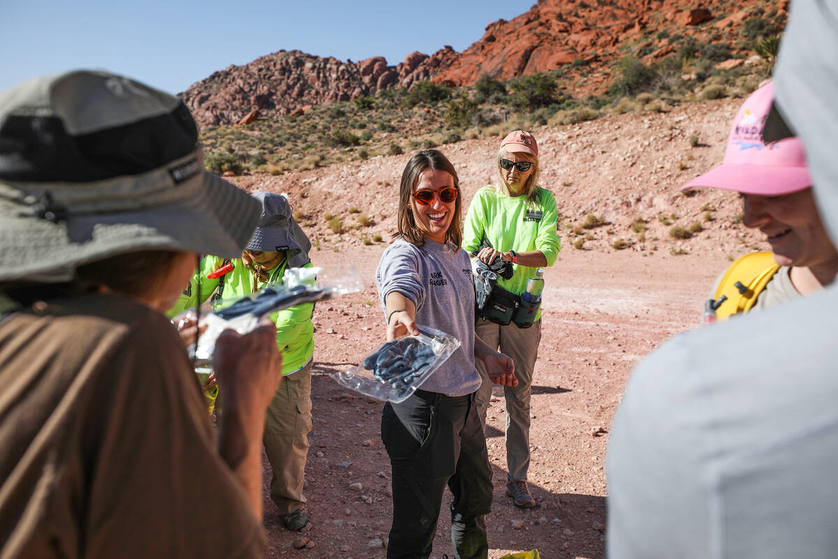 Ranger Deanna Depue hands out gloves to volunteers before they head out to remove graffiti in R ...