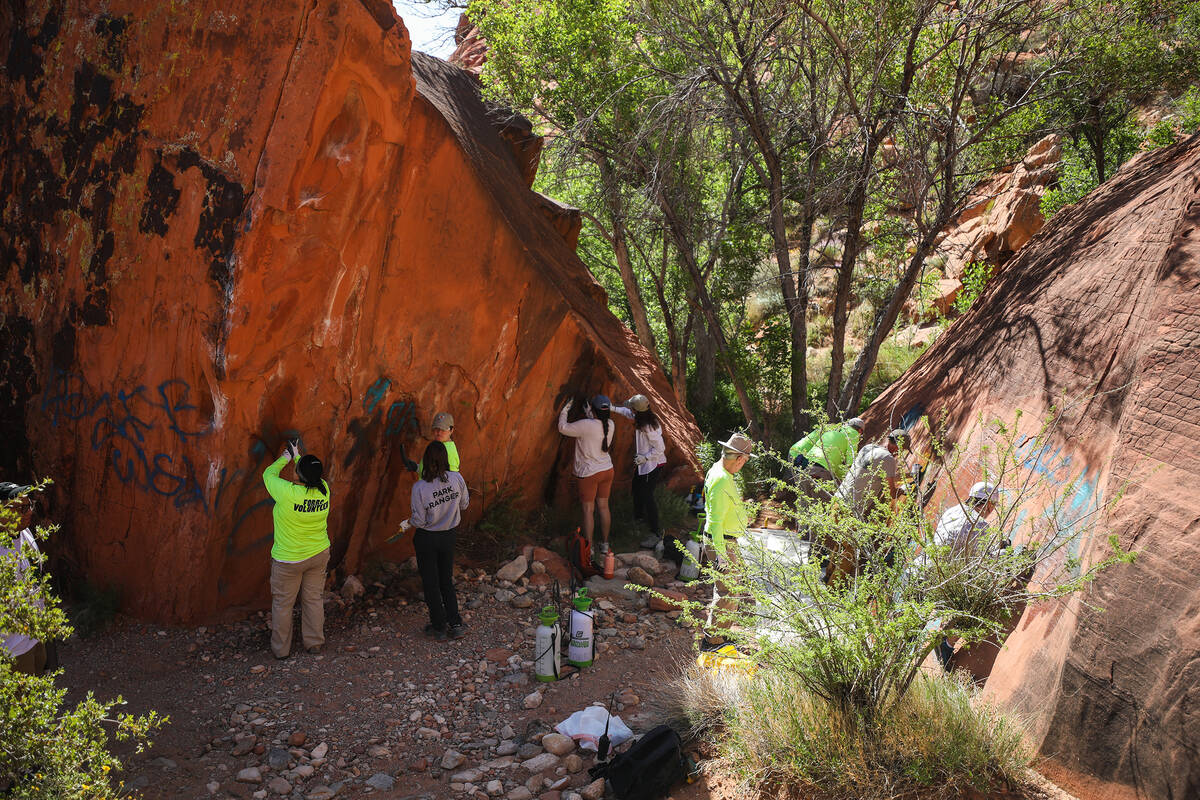 Volunteers work to remove graffiti along Ash Springs trail in Red Rock Canyon in Las Vegas, Sun ...