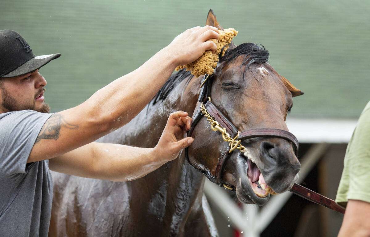 Epicenter is bathed groom Fernando Ramirez, left, as barn foreman Julio Villaseca holds his rei ...