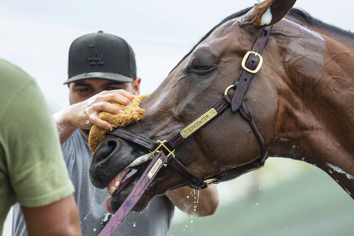 Epicenter is bathed by groom Fernando Ramirez as barn foreman Julio Villaseca holds his reins a ...