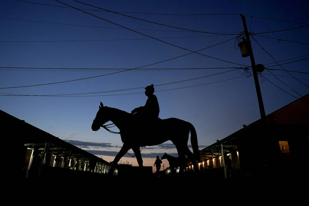 A horse walks to the track for an early morning workout at Churchill Downs Thursday, May 5, 202 ...
