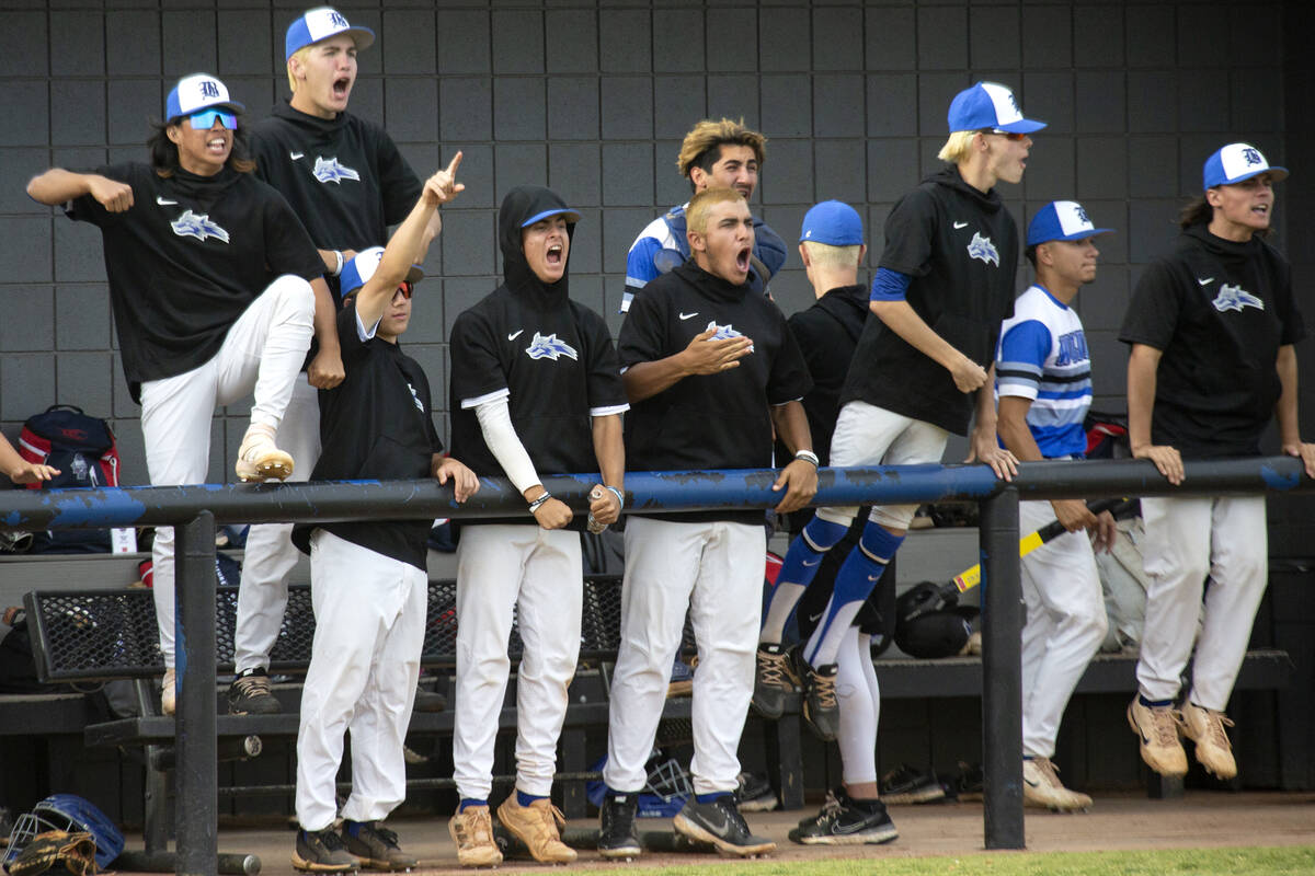 Basic cheers from the dugout after their teammate hit a home run during a Class 5A Southern Reg ...