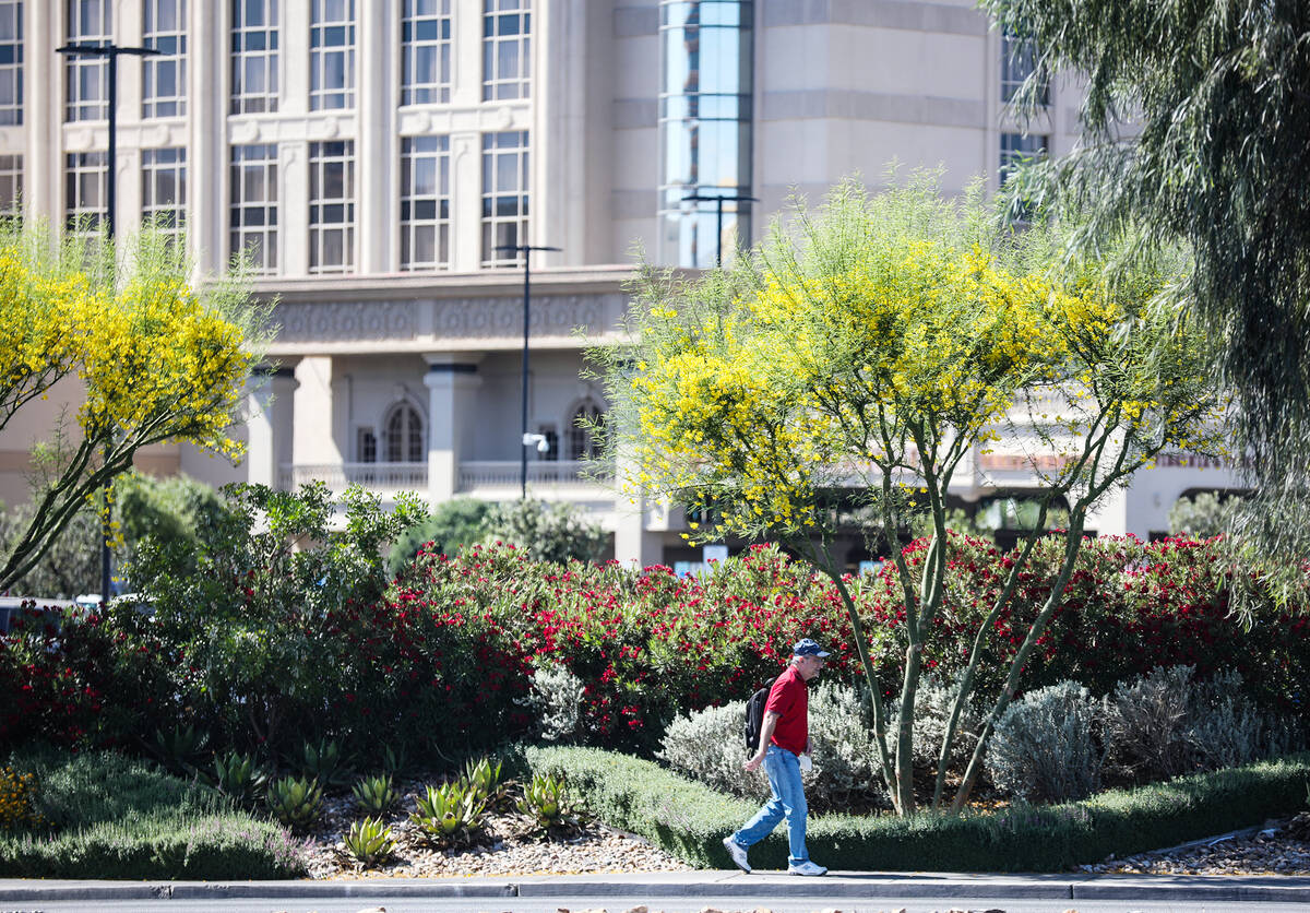 A pedestrian walks the sidewalk on Sahara Avenue in front of Palace Station in Las Vegas, Sunda ...