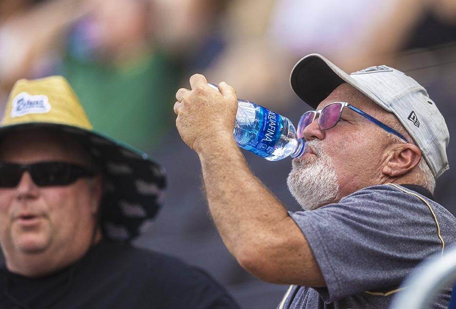 Fans try and stay cool during a minor league baseball game between the Aviators and the Salt La ...