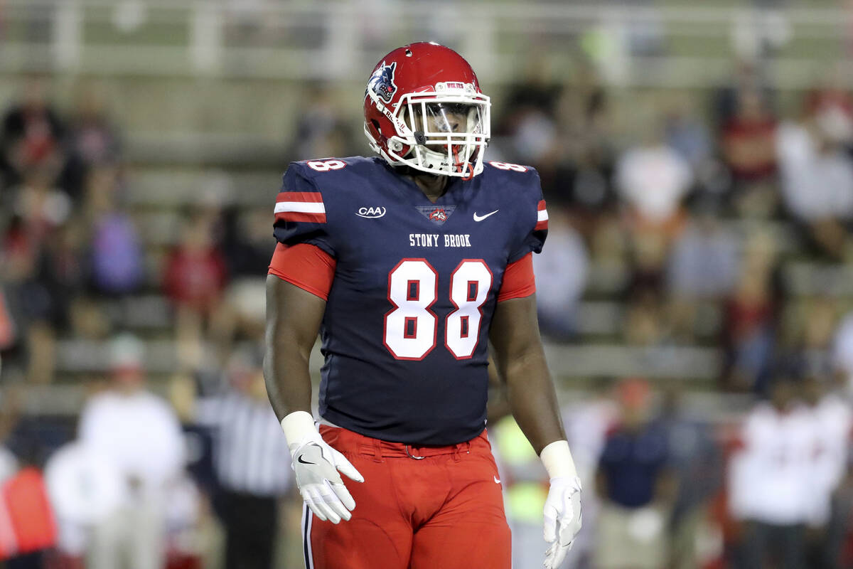 Stony Brook's Tyrone Wheatley Jr. #88 is seen against Richmond during an NCAA college football ...