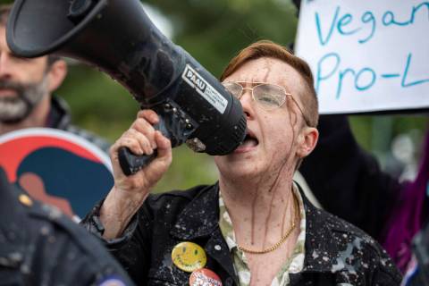 An anti-abortion protester covered in chocolate milk continues to chant into a bullhorn during ...