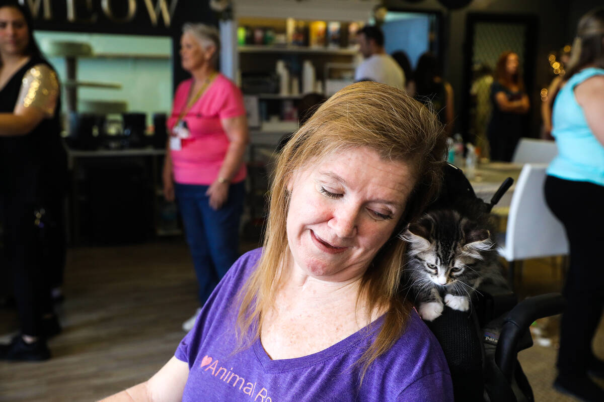 Kelly McMahon plays with a kitten on her shoulder at the Cat Cafe at Hearts Alive Village, a pe ...