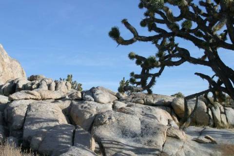 A rock formation along Cima Road in Mojave National Preserve in California. (Las Vegas Review-J ...