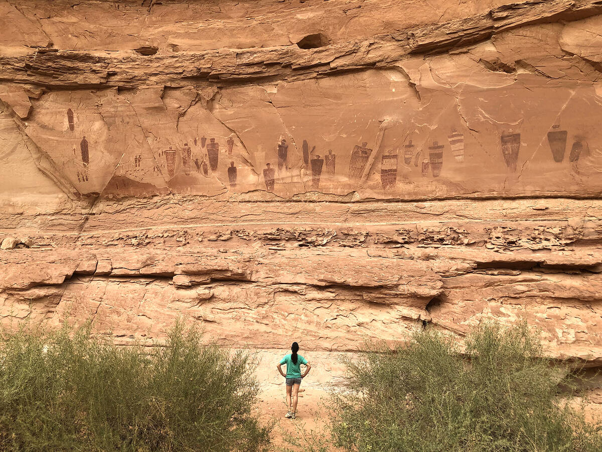 A hiker pauses to view the Great Gallery, a 200-foot panel of ancient drawings along the dry c ...