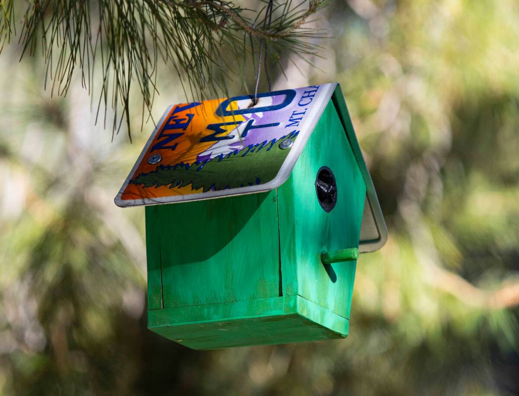 A birdhouse is hanging on a tree along a walking trail in Pecole Ranch in Summerlin on Friday, ...