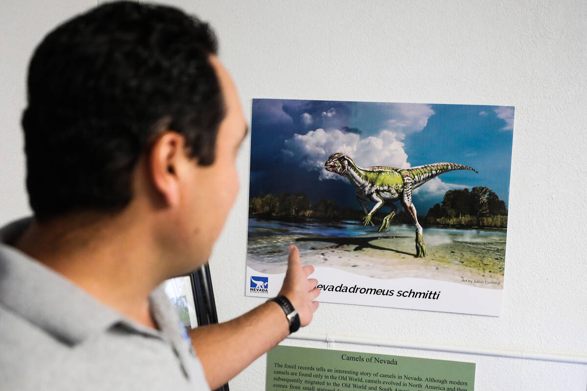 Paleontologist Dr. Joshua Bonde shows the Review-Journal an artist’s rendering of a dino ...