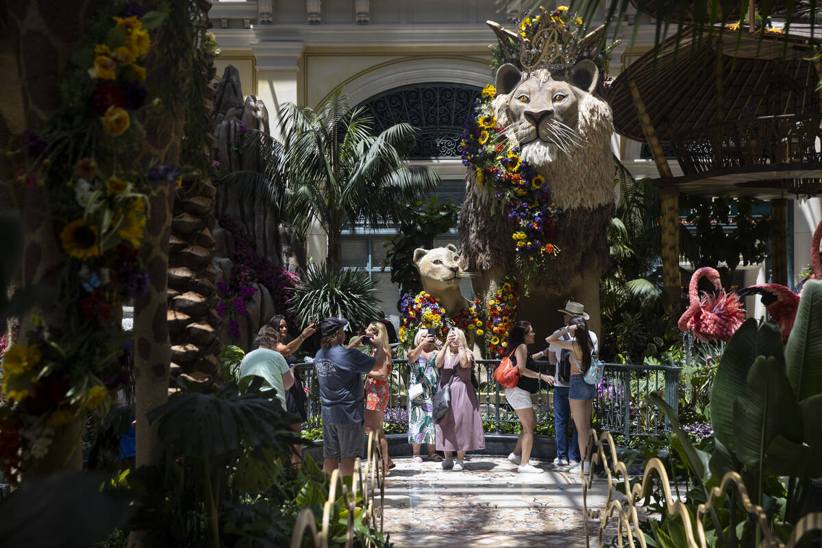 Celebrating Good Vibes: The Bellagio Conservatory and Botanical Gardens  presents “The Year of the Ox.” - Sin City VIP