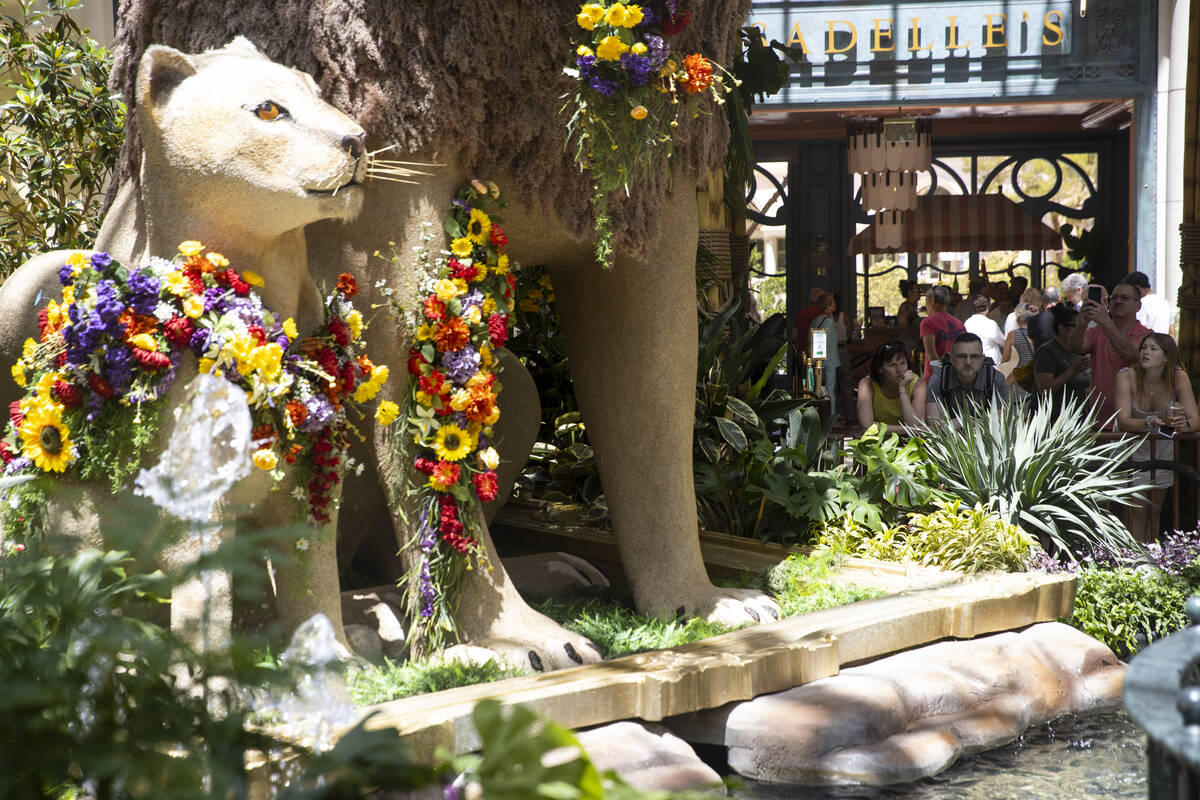 Bellagio’s Conservatory & Botanical Gardens new display “Jungle of Dreams” in Las Vegas, ...