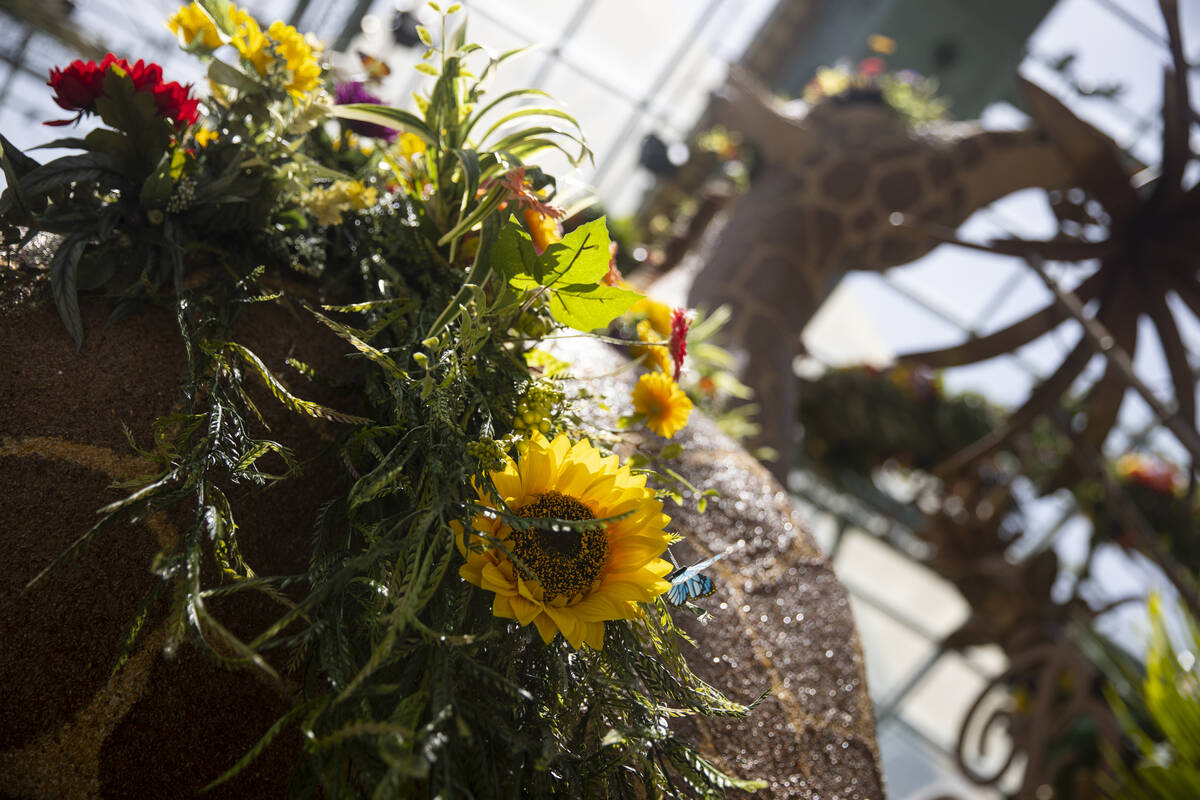 Bellagio’s Conservatory & Botanical Gardens new display “Jungle of Dreams” in Las Vegas, ...