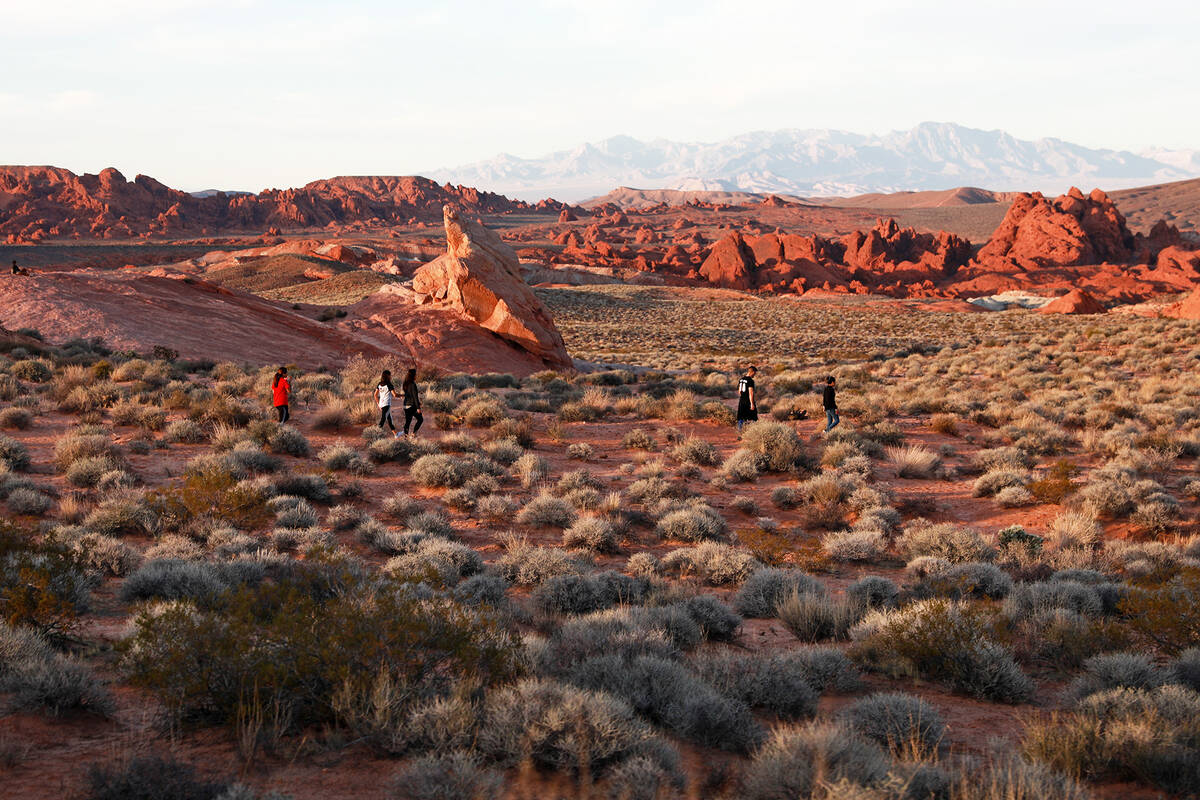 Las Vegas: Day Trip to Valley of Fire State Park 2023