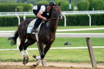 We the People, ridden by trainer Rodolphe Brisset, trains before the 154th running of the Belmo ...