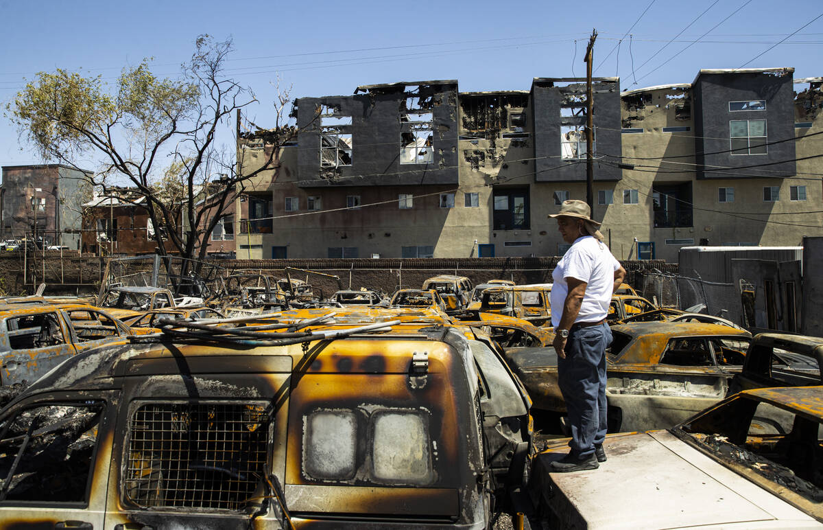 Lazaro Lopez, owner of Perfect Auto Body, surveys the yard where more than 30 vehicles where de ...