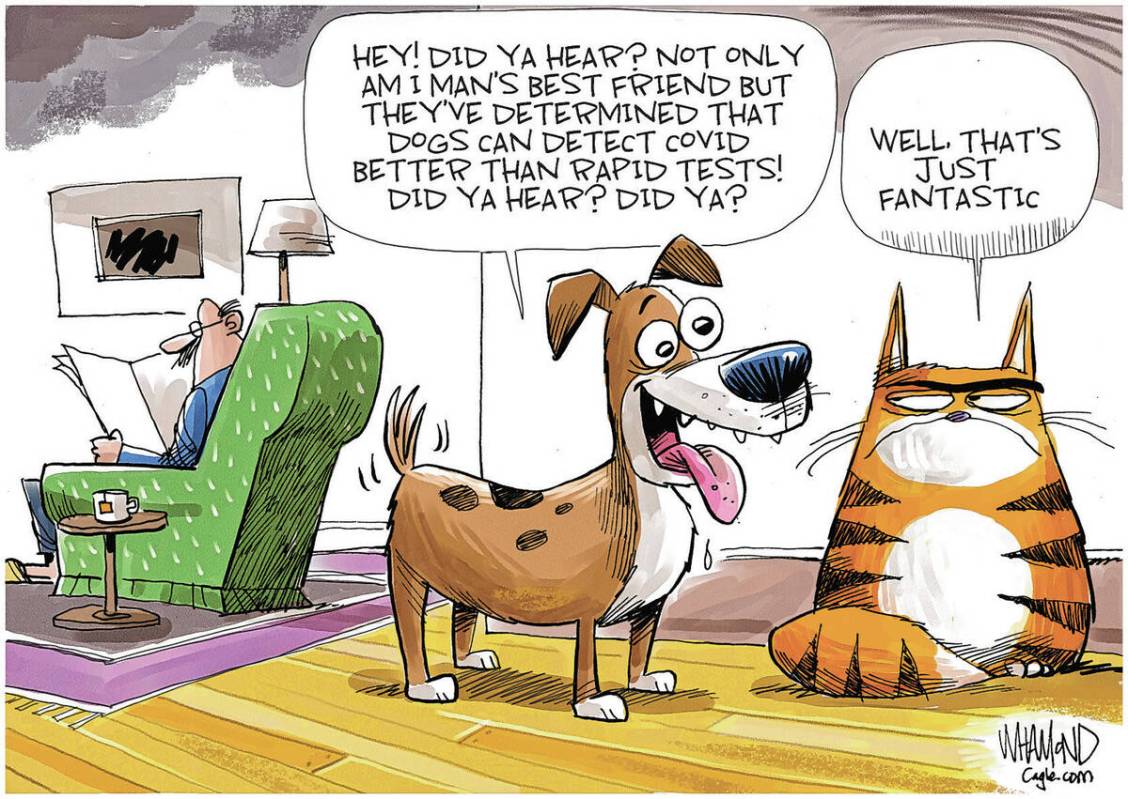 Dave Whamond PoliticalCartoons.com