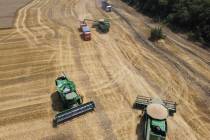 FILE - Farmers harvest with their combines in a wheat field near the village Tbilisskaya, Russi ...