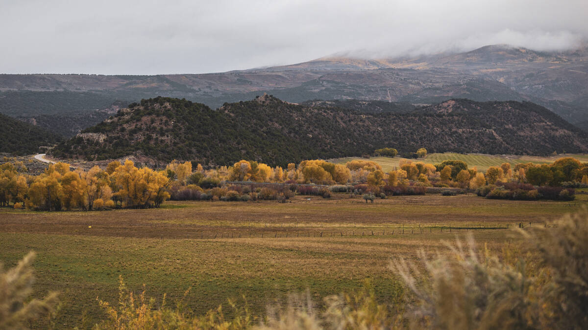 The Utah Division of Wildlife Resources is setting up a "nursery" for desert bighorn sheep at t ...