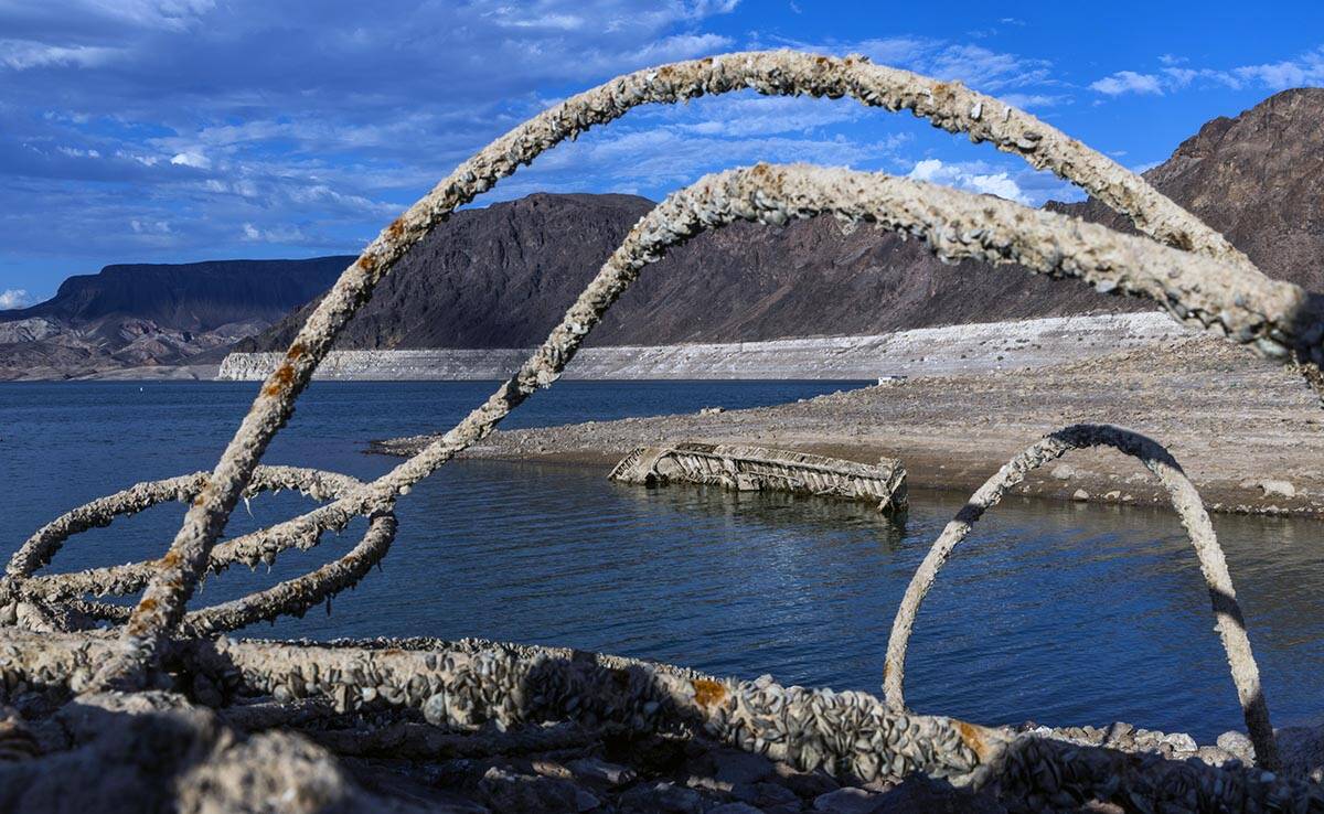 A WWII landing craft used to transport troops or tanks is being revealed on the shoreline near ...