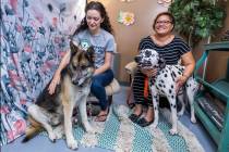 Francesca Fulciniti, left, with Champ and Kiley Esprecion with Spud at the Heaven Can Wait Anim ...