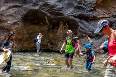 In this July 14, 2017, file photo, Zion National Park visitors walk along The Narrows, a river ...