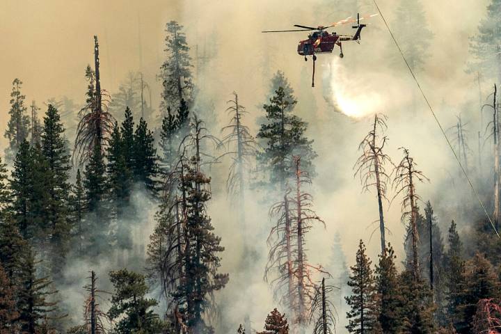 Kebakaran Yosemite mengancam 500 pohon hutan sequoia raksasa