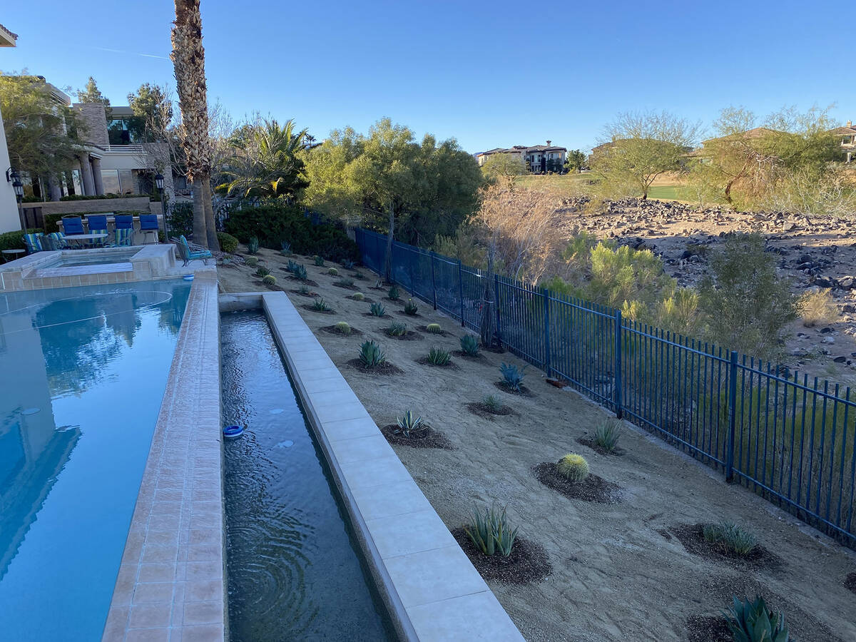 Desert-native plants are a great way to decorate and add accents to your yard while keeping nee ...