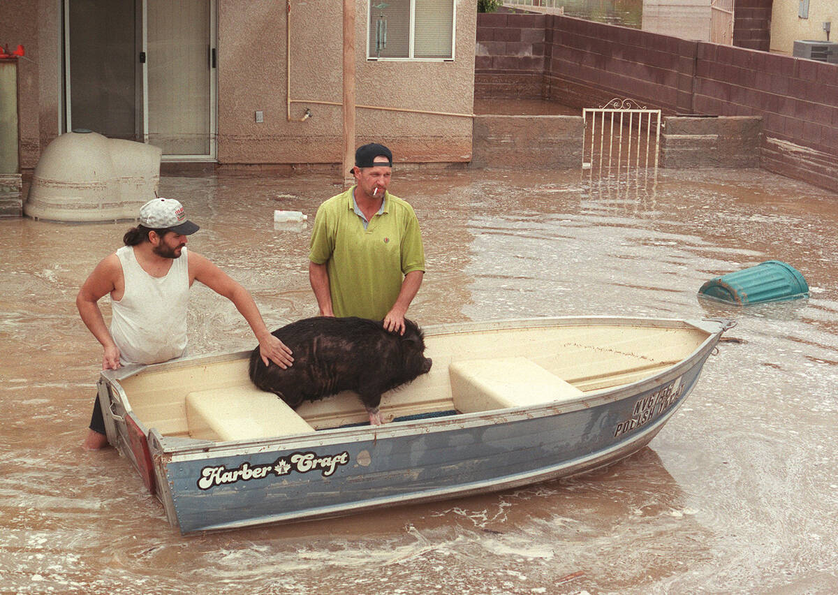 Chris Kangas, left, and Mike Suits calm a pot-bellied pig they rescued at a residence on Thurgo ...