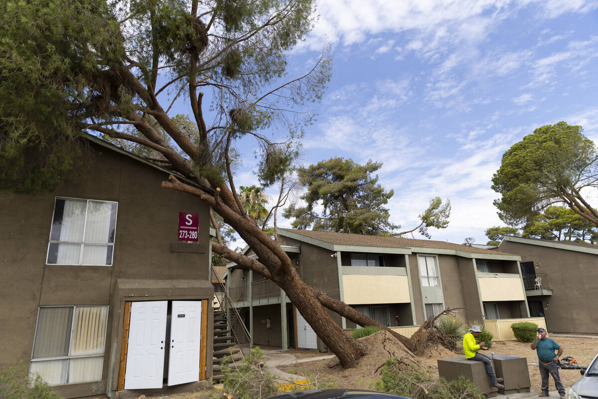 Fallen trees lean on the roof of an apartment complex on the 2600 block of Atlantic Street in L ...