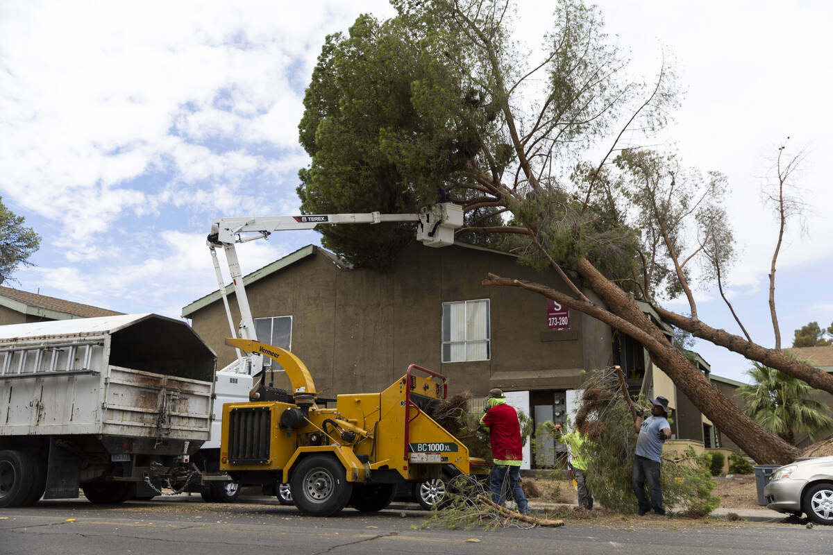 Landscaping workers remove fallen trees on the 2600 block of Atlantic Street in Las Vegas, Satu ...