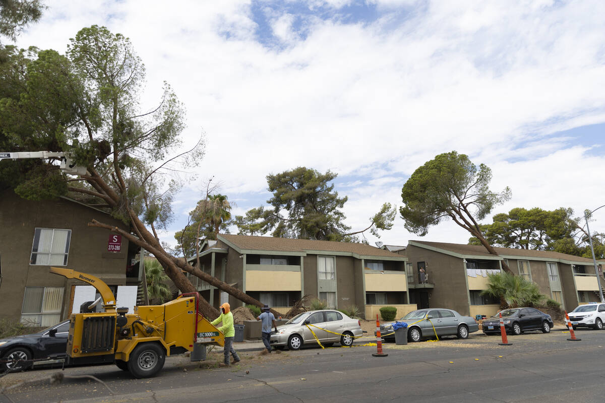 Landscaping workers remove fallen trees on the 2600 block of Atlantic Street in Las Vegas, Satu ...