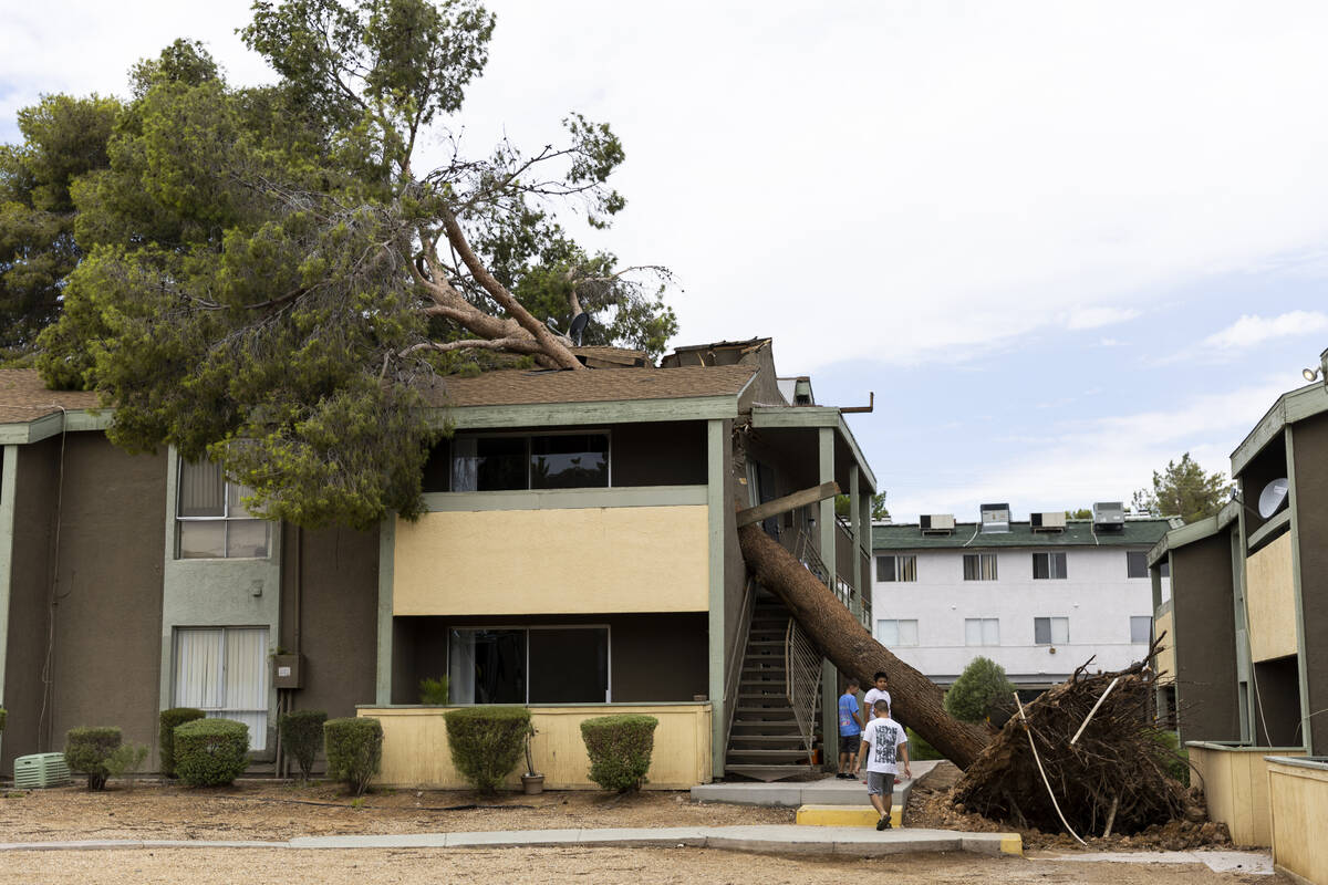A fallen tree lays on an apartment complex on the 2600 block of Atlantic Street in Las Vegas, S ...
