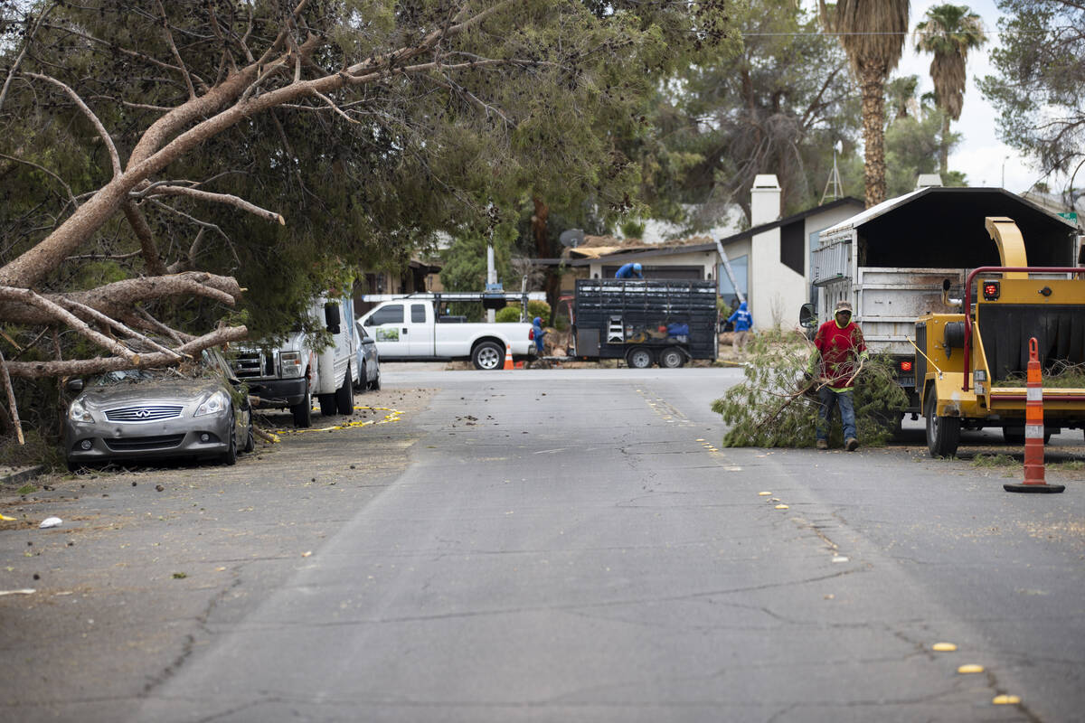 Landscaping workers remove branches from a fallen tree on the 2600 block of Atlantic Street in ...