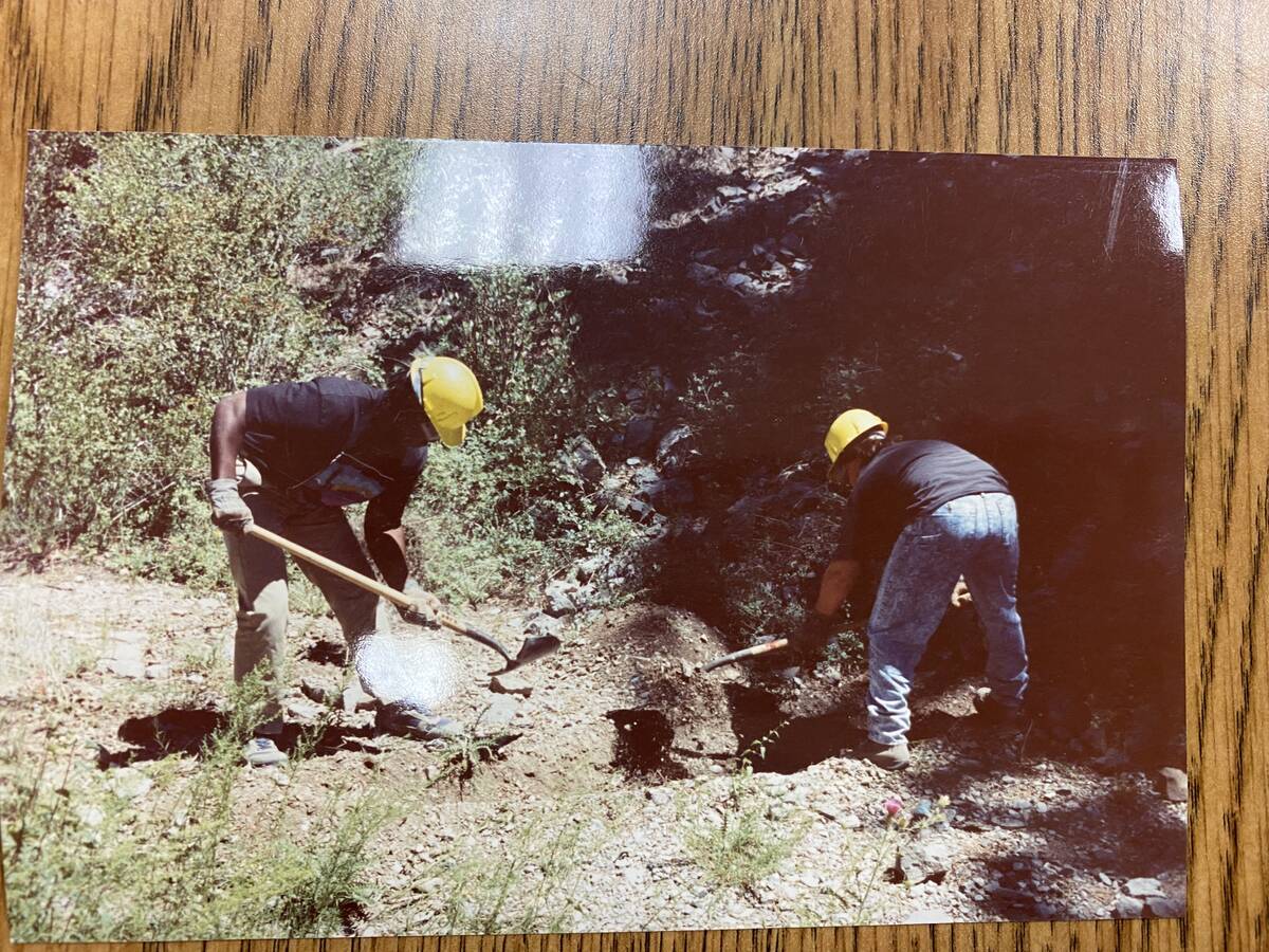 A U.S. Forest Service photo of juveniles from Spring Mountain Youth Camp working on Mount Charl ...