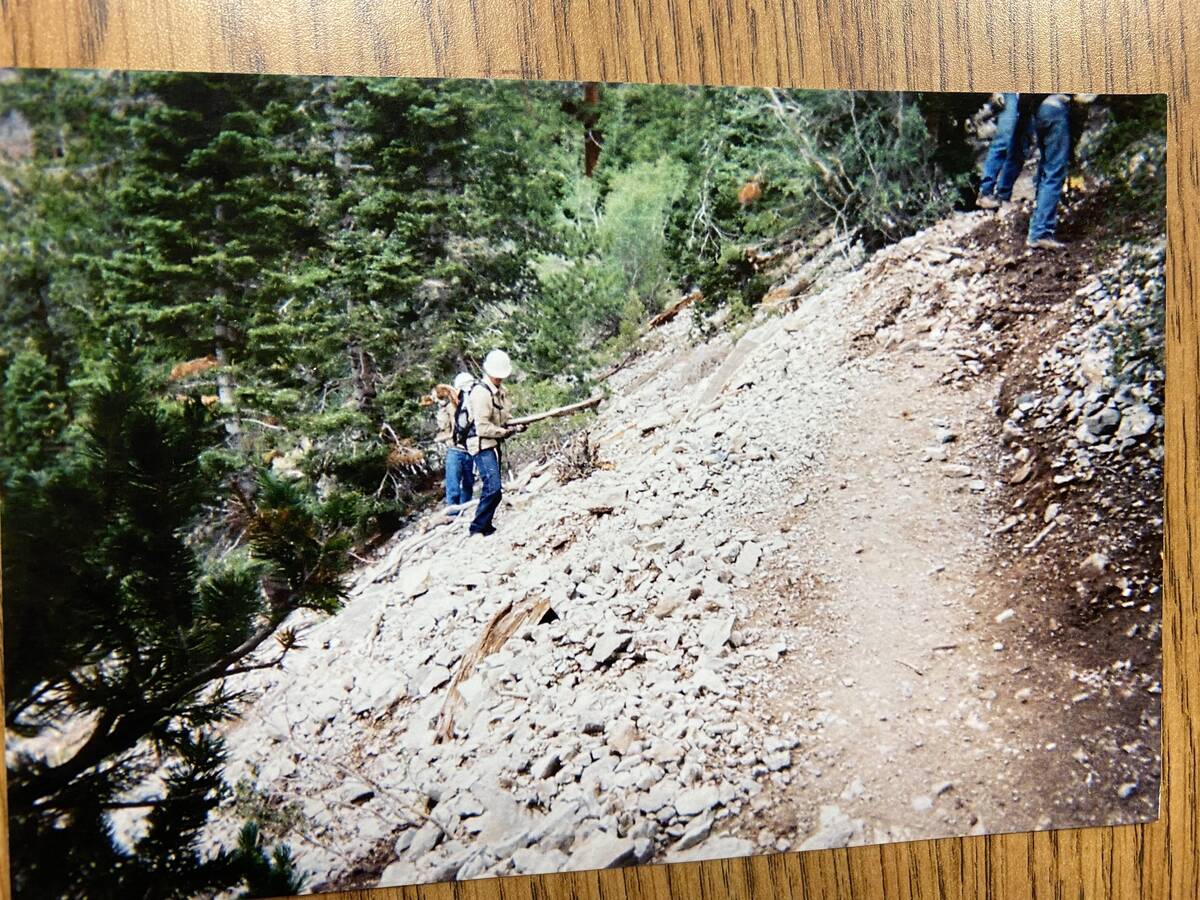 A U.S. Forest Service photo of minors from Spring Mountain Youth Camp working on Mount Charlest ...