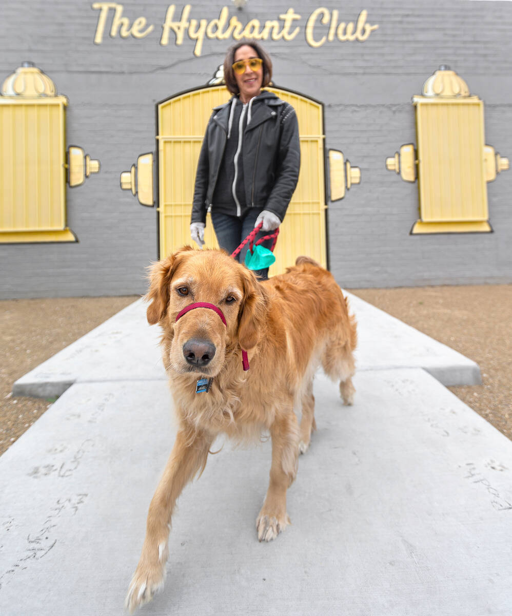 Cathy Brooks, owner of the Hydrant Club dog daycare, walks a golden retriever named Mac to his ...