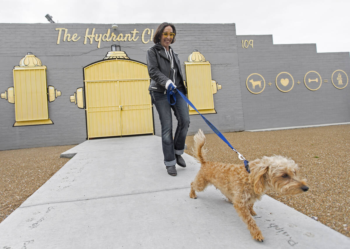 Cathy Brooks, owner of the Hydrant Club dog daycare, walks a dog to its owners car on Wednesday ...