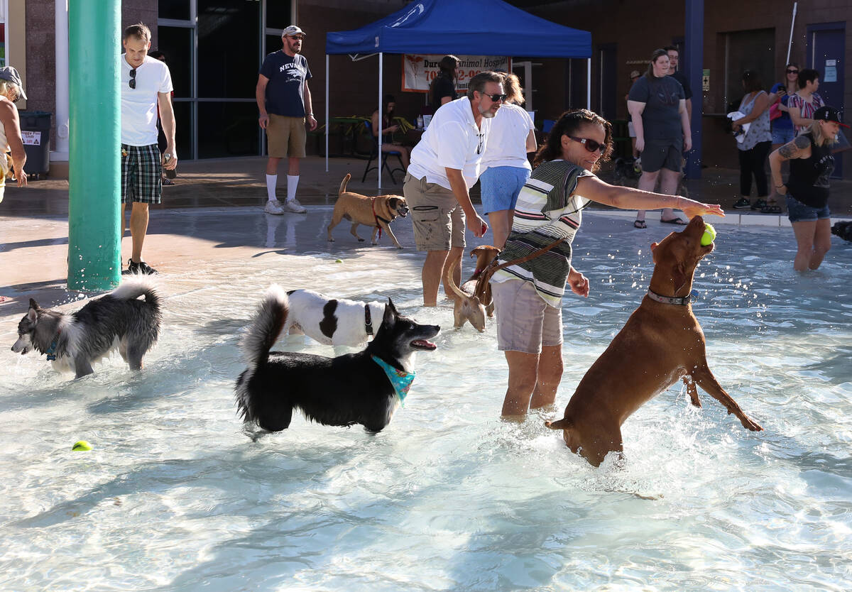 Vera Bojack plays with her dog Sedona, right, during the annual “Dog Daze of Summer&#x20 ...