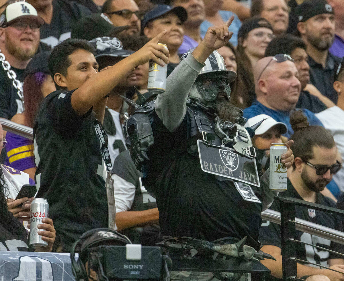minnesota vikings las vegas raiders