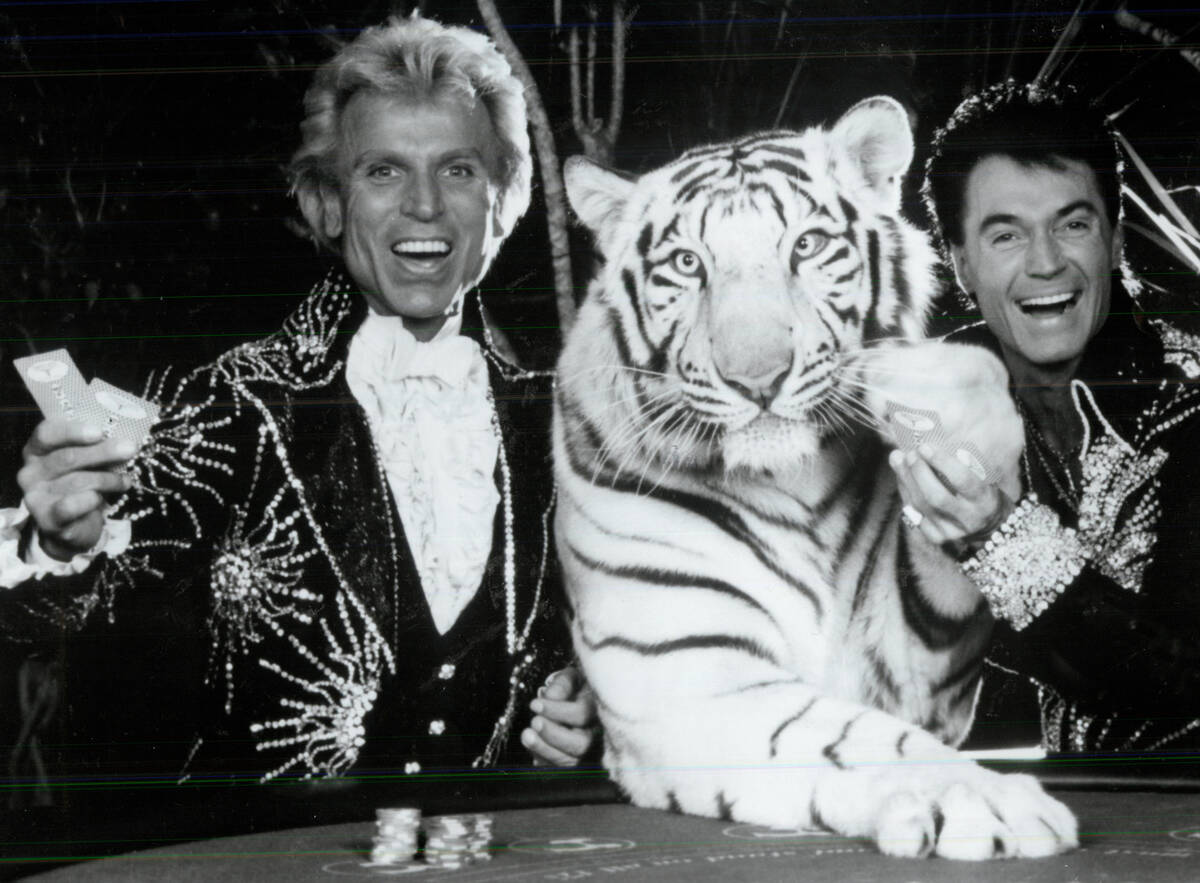 Siegfried and Roy at the Tropicana in May 1985. (Las Vegas Review-Journal file)