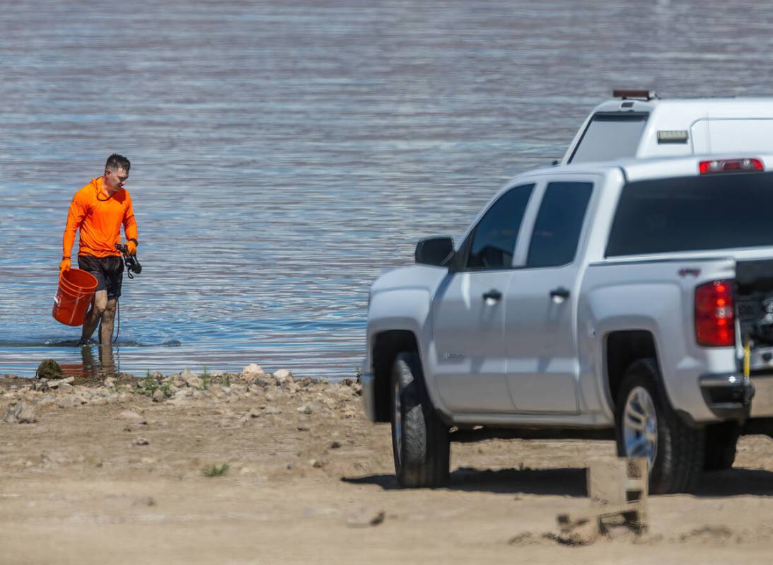 A search and rescue diver leaves the water as authorities are assessing what were described as ...