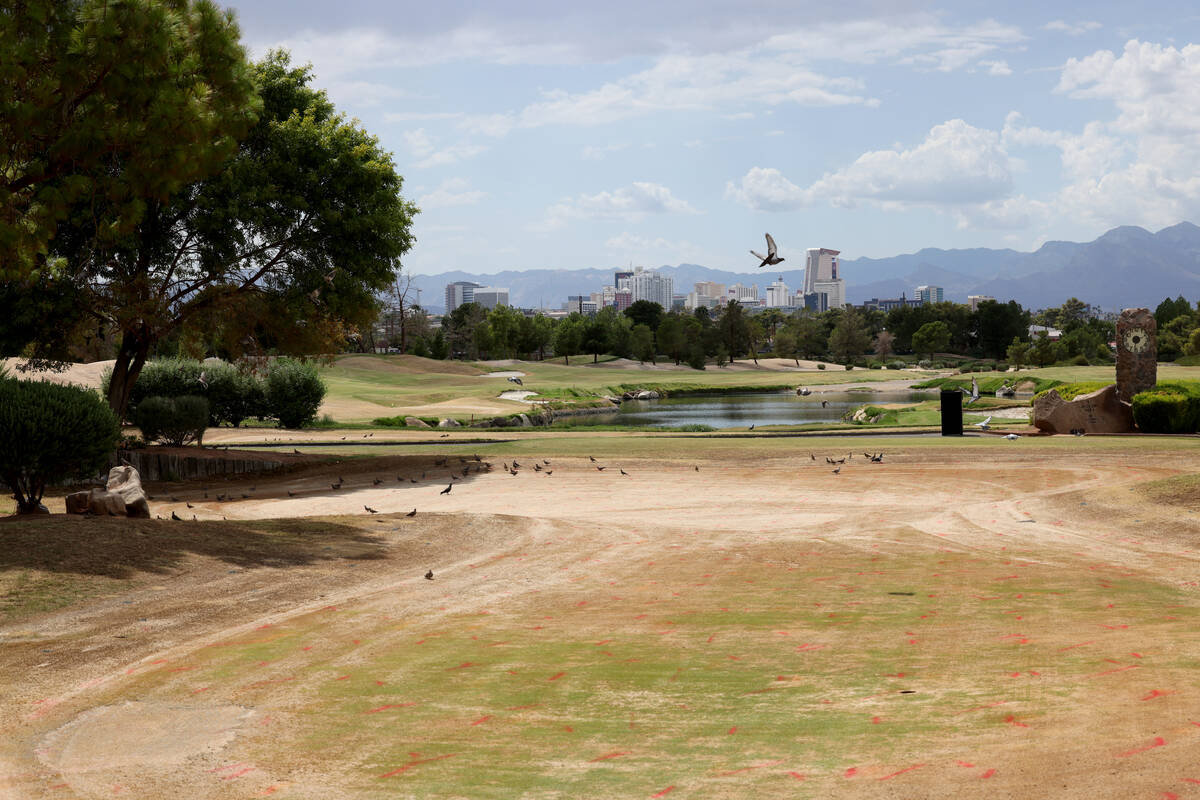 Desert Pines Golf Club at Bonanza and Pecos roads in Las Vegas Thursday, Aug. 18, 2022. (K.M. C ...