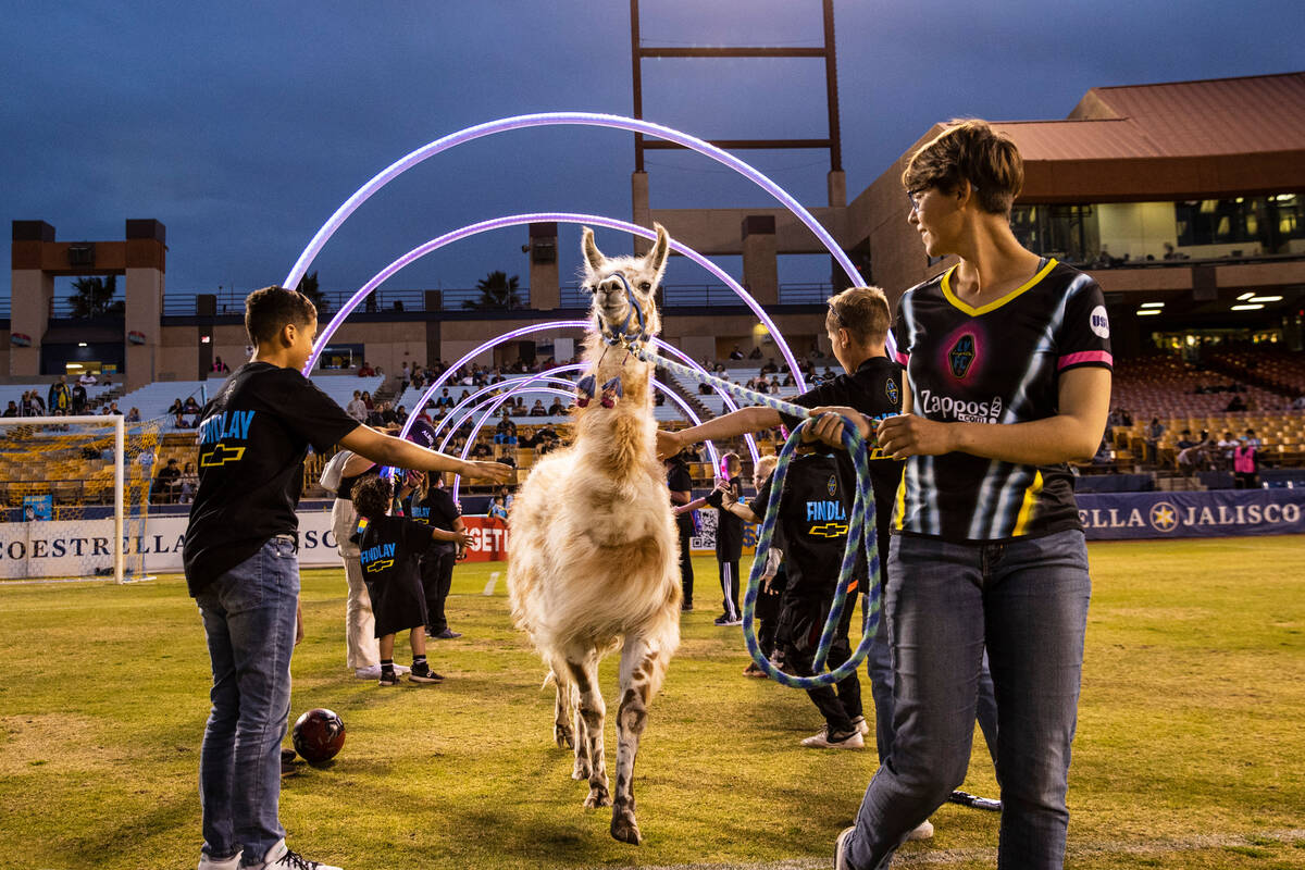 Fun - Las Vegas Lights FC